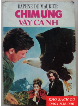 Chim Ưng Vẫy Cánh Chim Ưng Vẫy Cánh