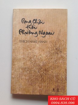 Rong Chơi Trời Phương Ngoại