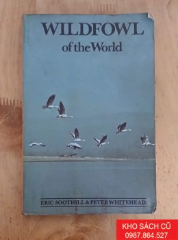 Wildfowl Of The World