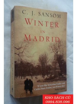 Winter in Madrid